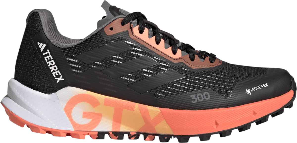 Trailové topánky adidas TERREX AGRAVIC FLOW 2 GTX W