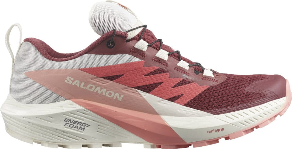 Trailové topánky Salomon SENSE RIDE 5 GTX W